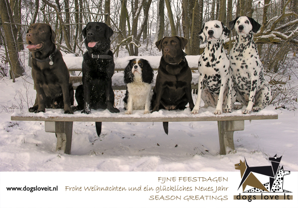 Kerstkart dogsloveit 2010
