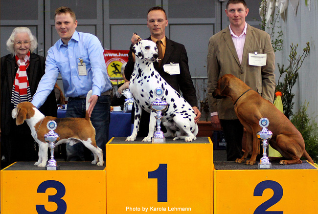 09.04.2011. CAC Oldenburg. Spotniks First Farao For Ormond Best of Breed en Best of Group09.04.2011. CAC Oldenburg. Spotniks First Farao For Ormond Best of Breed und Best of Group09.04.2011. CAC Oldenburg. Spotniks First Farao For Ormond Best of Breed and Best of Group