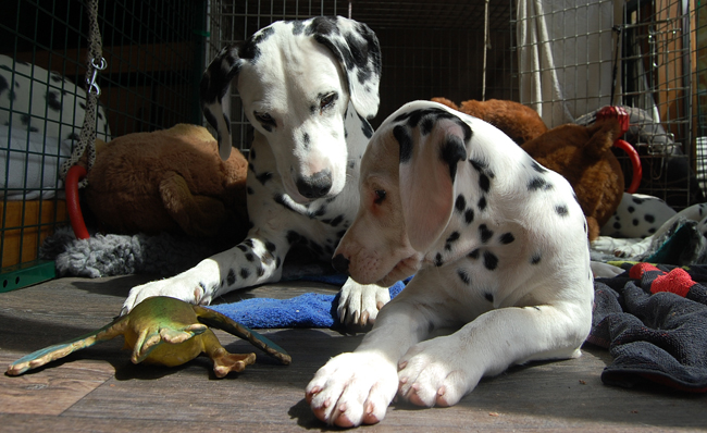 Missy en Obonya