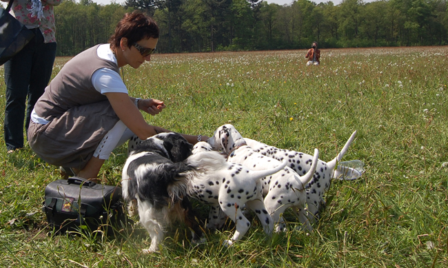 Monique met pups