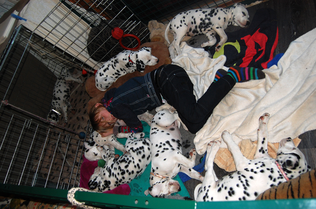 van gisela kind met pups