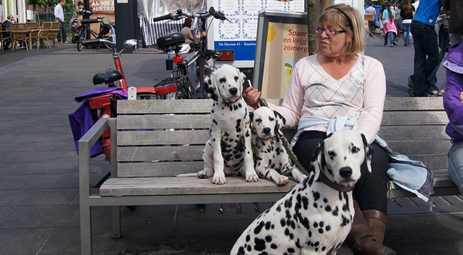 Abschalten pups