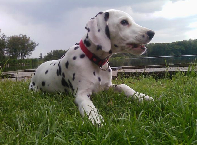Missy-3