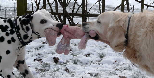 pepper en Frodo