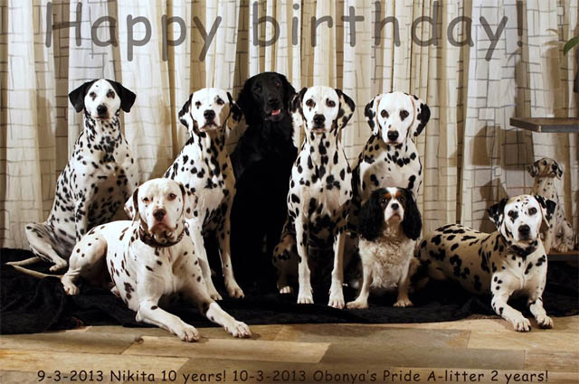10-3-2013 Happy Birthday!!10-3-2013 Happy Birthday!!10-3-2013 Happy Birthday!!