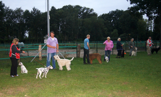 training at TKV-Enschede (Giant Porter, Donna Yaela, Belisa)