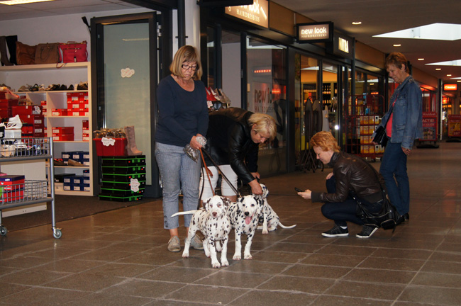 Mieke and Margreet at the shopping center with ... Giant Porter, Donna Yaela, Belisa